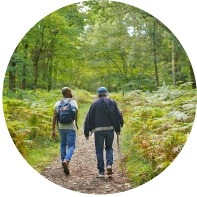 Green forest trek near Viswam Resorts